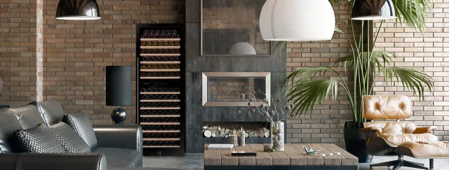 COS'È UN FRIGORIFERO PER VINO E PERCHÉ CONVIENE INVESTIRCI?